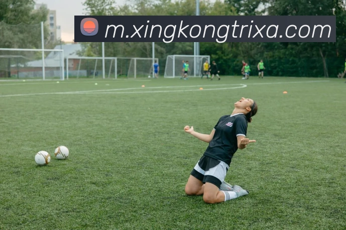 星空体育全站App